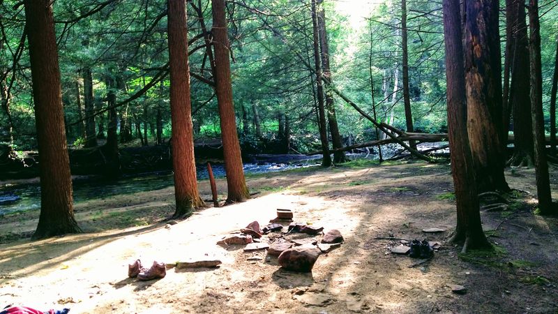 A Quieter Alternative To Nearby Ohiopyle State Park A Quieter Alternative To Nearby Ohiopyle State Park