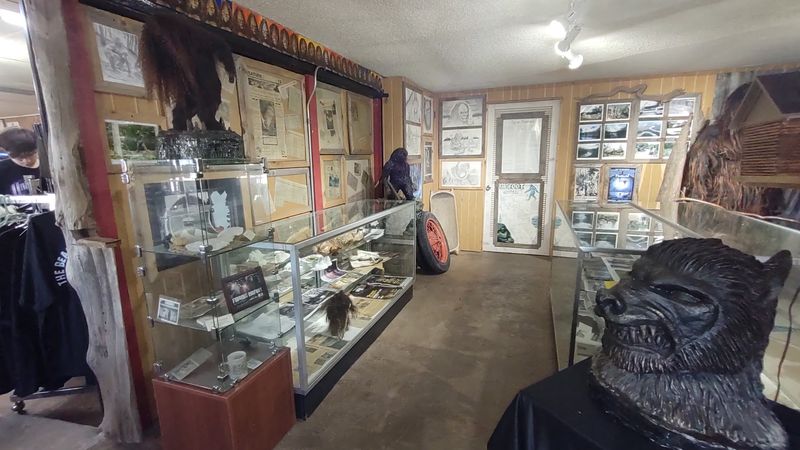 A Quirky Interior Filled With Boggy Creek Charm