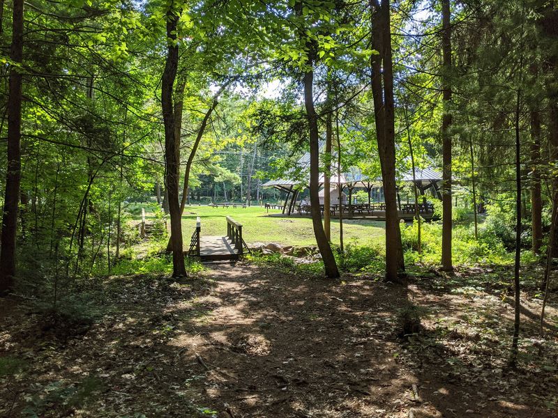 A Railroad Built For Iron Also Carried Vacationers