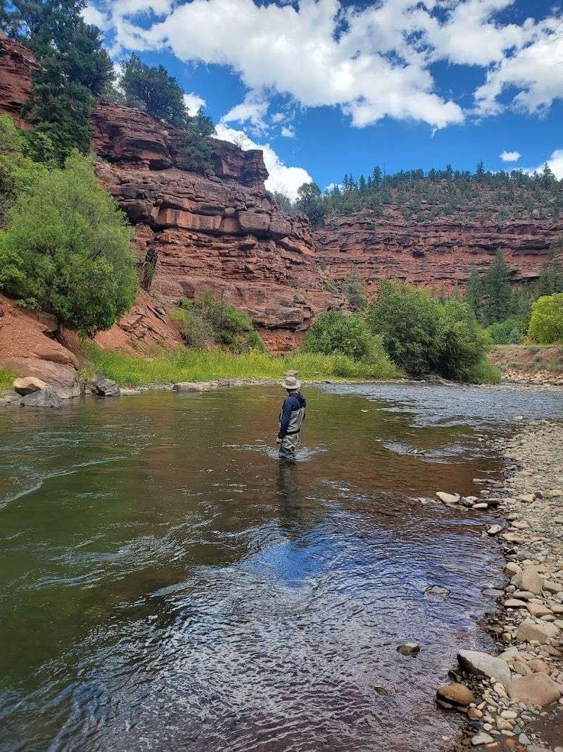 May Is Genuinely The Right Month To Show Up