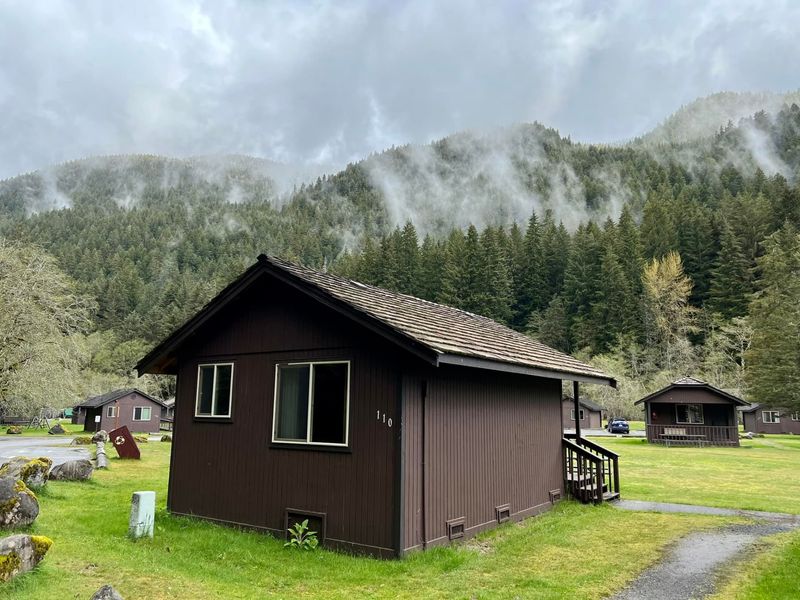 A Rainforest Retreat Deep Inside Olympic National Park