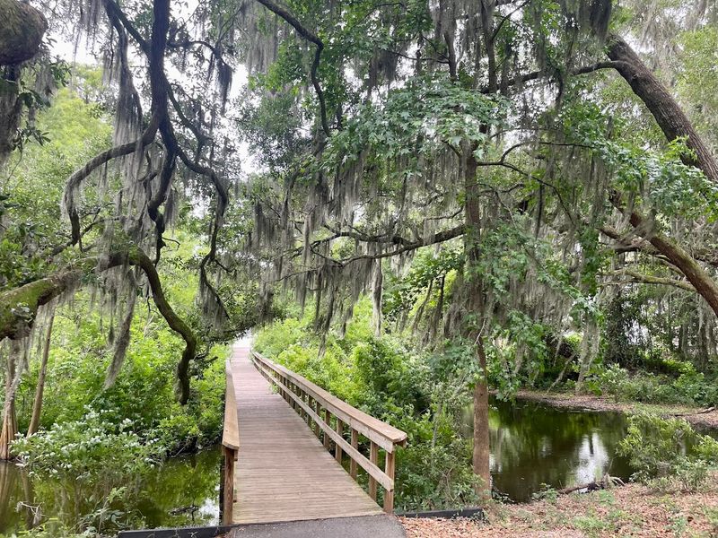 A Rare Carolina Bay That Scientists Still Study
