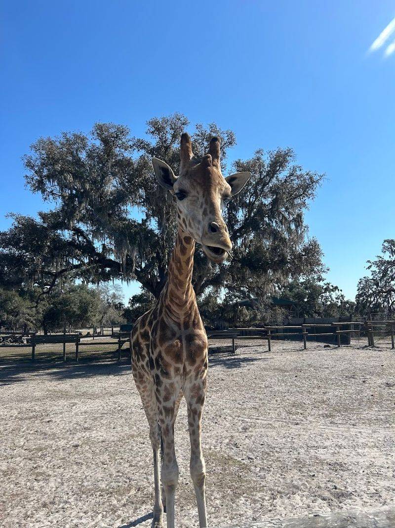 A Privately Owned Ranch With A Conservation Heart