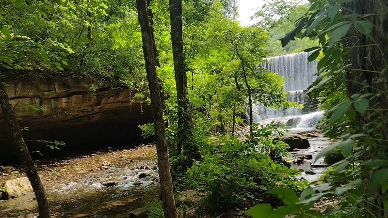 Scenic Trails And Crystal-Clear Springs Above Ground