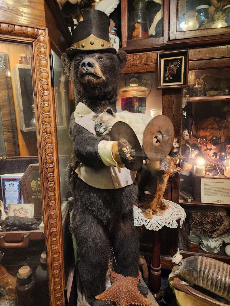 The Taxidermy Collection That Steals The Show