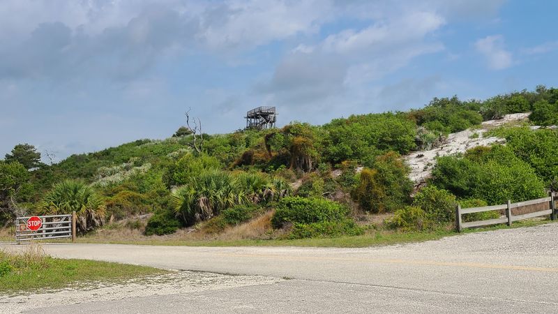 A Real Mountain In Flat Florida