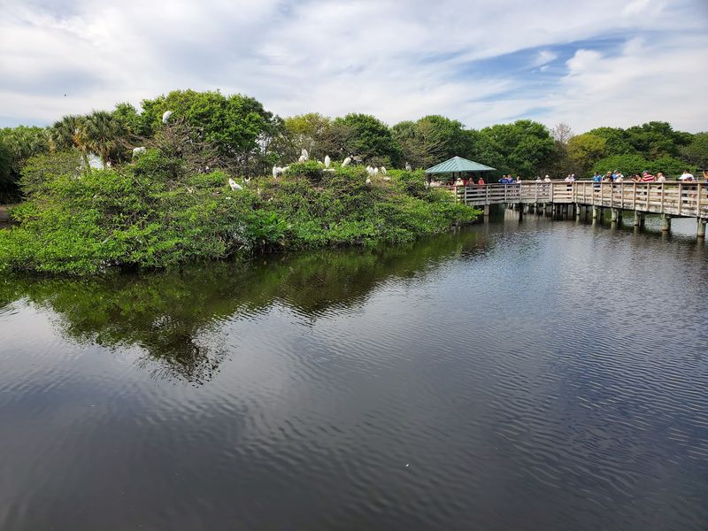 A Recycled Water Project That Became A Bird Metropolis A Recycled Water Project That Became A Bird Metropolis