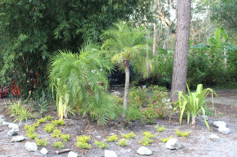 Birds Living In Species-Appropriate Social Groups