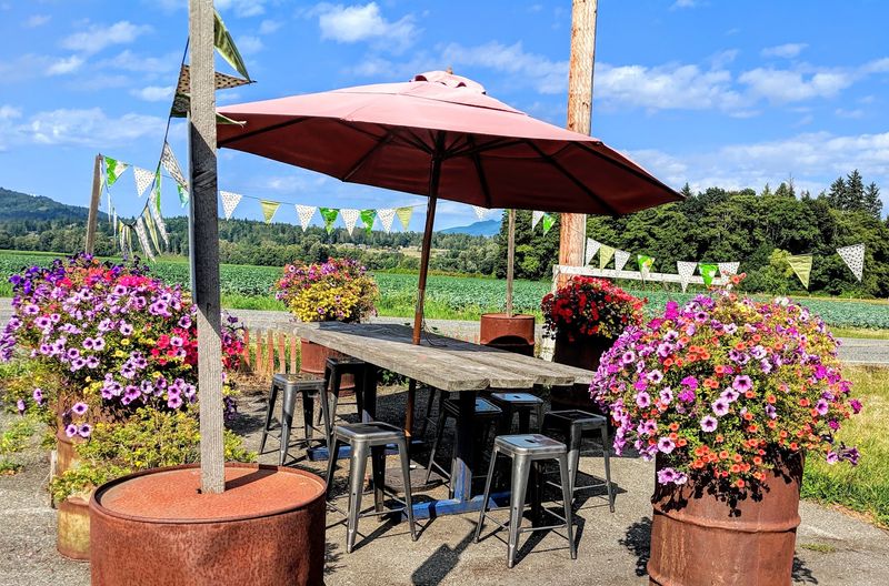 A Relaxed Spot To Sit And Linger