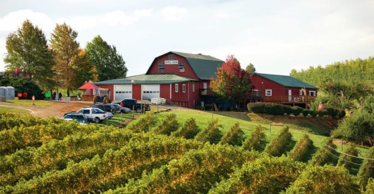 A Relaxing Virginia Orchard Escape Ideal For A Sweet Family Day Out