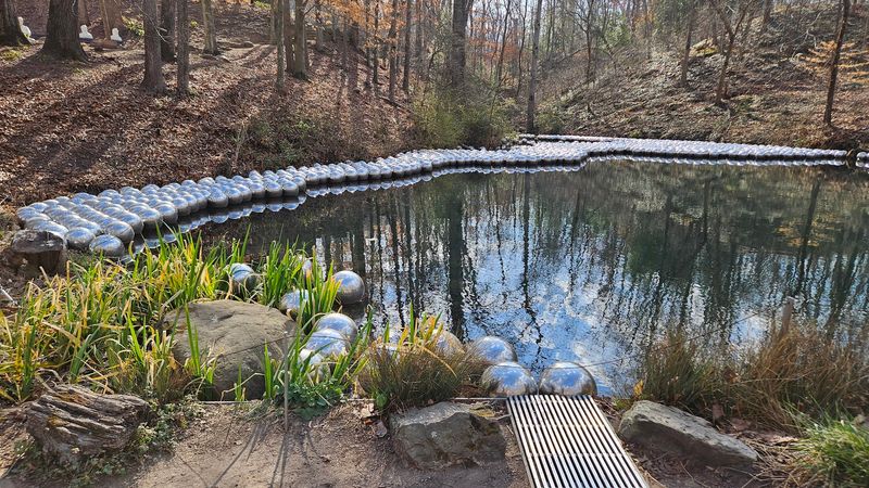Scenic Trails And Outdoor Installations That Expand The Experience