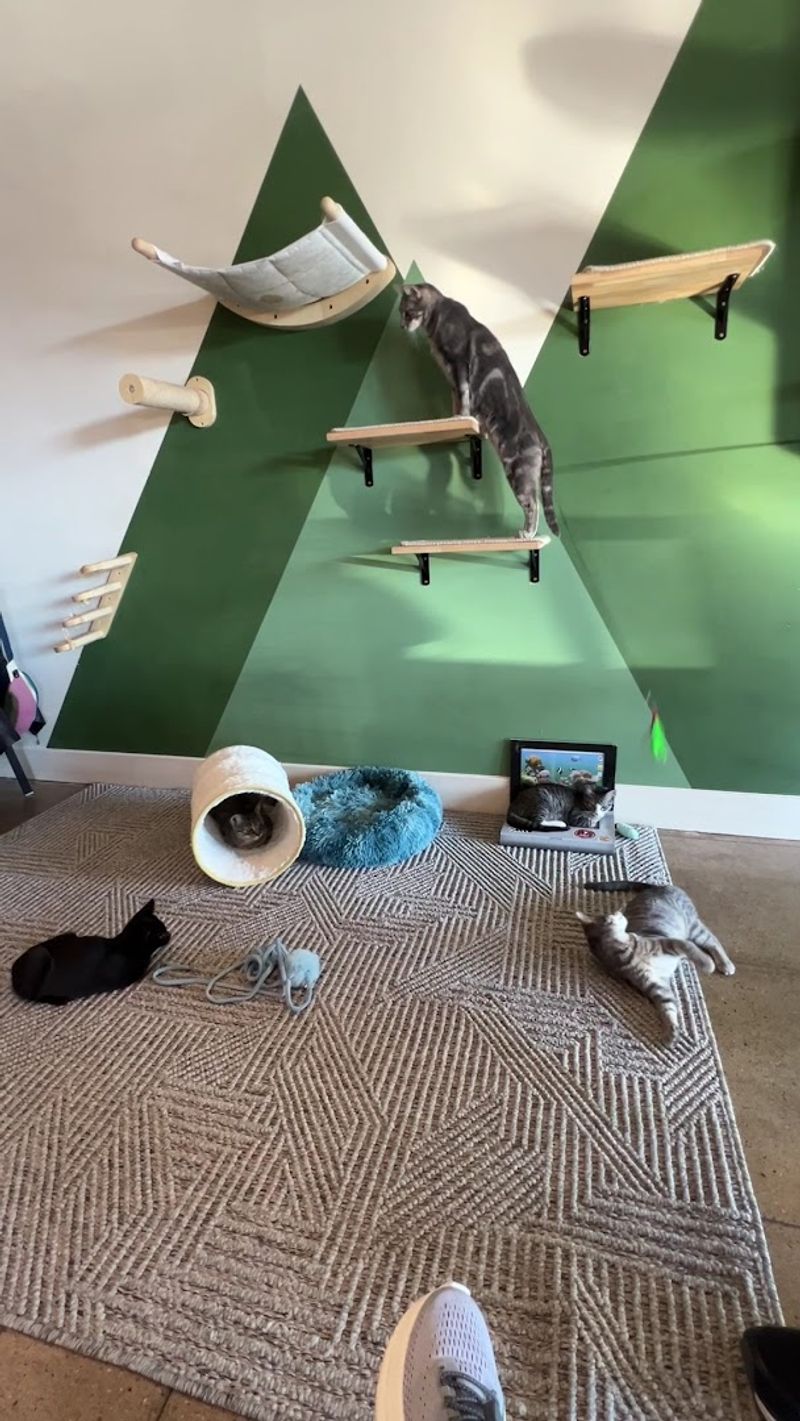 The Space Itself Deserves a Mention