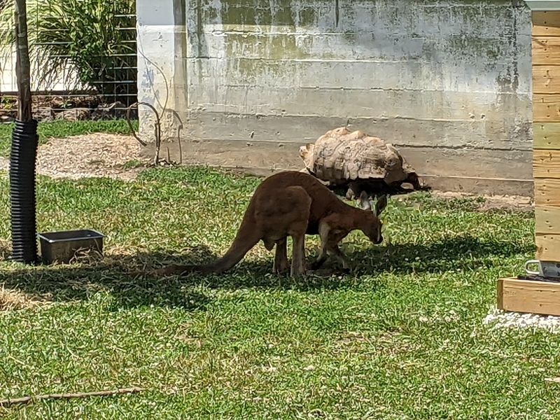 A Rescue Story Behind Every Habitat