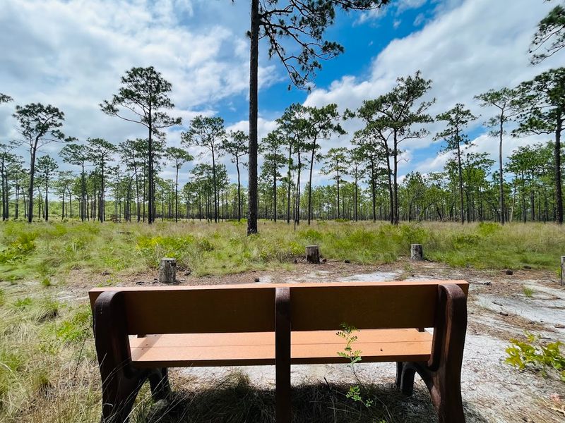 Camping Options For Overnight Nature Lovers