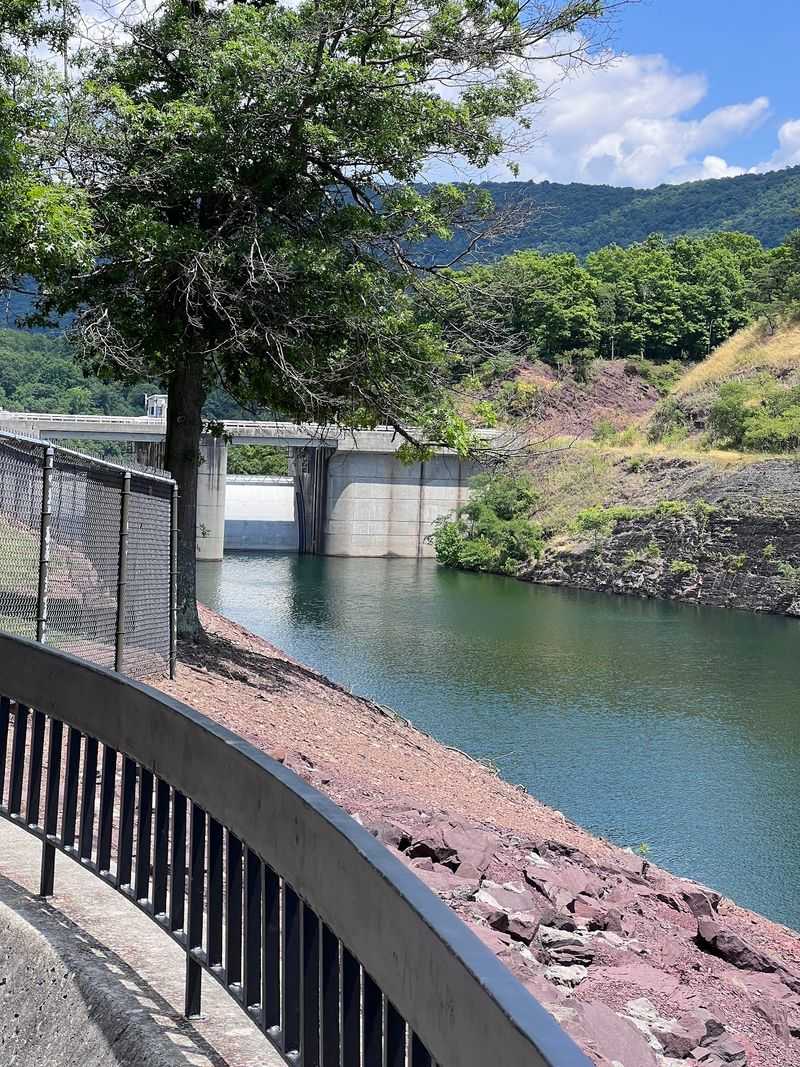 A Reservoir Built In 1973 Created Perfect Snake Real Estate A Reservoir Built In 1973 Created Perfect Snake Real Estate