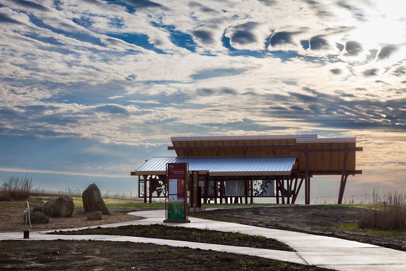 A Restored Prairie West Of Chicago
