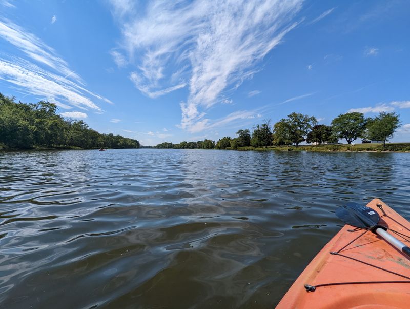 Wildlife Watching From Your Kayak Seat