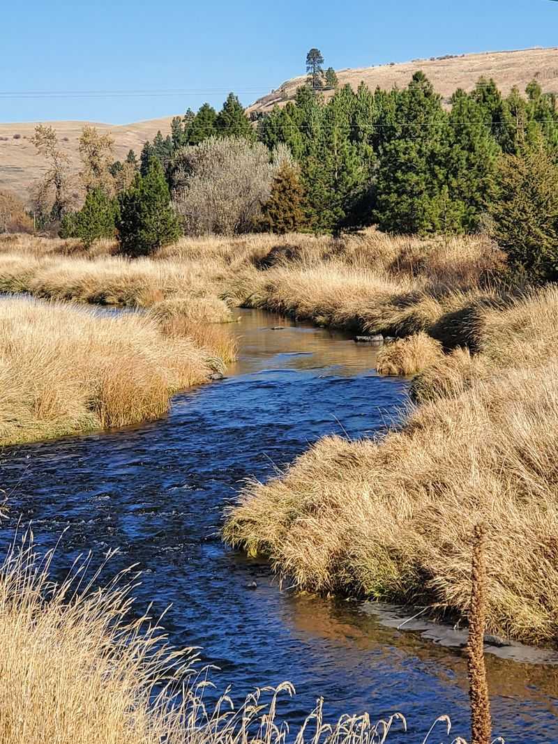 A River Runs Right Through the Valley