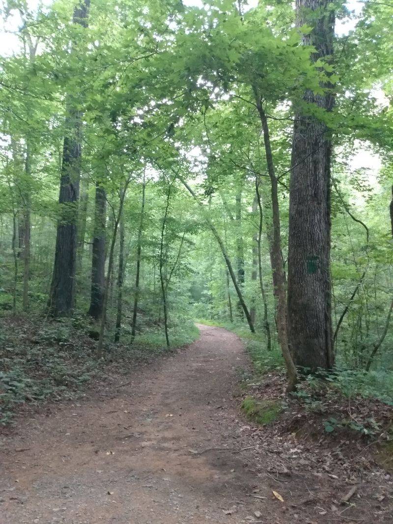 Outpost in the Wilderness