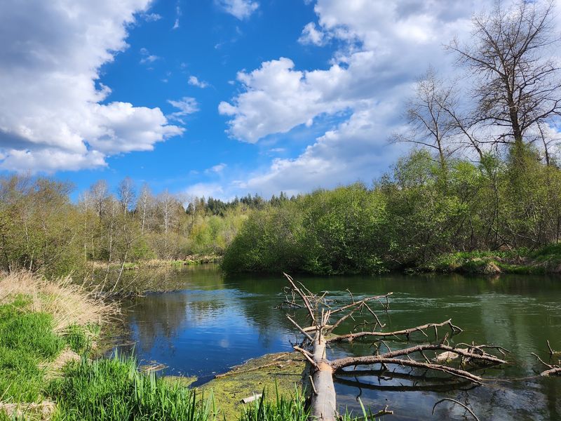 A River So Clear It Looks Borrowed From The Tropics A River So Clear It Looks Borrowed From The Tropics