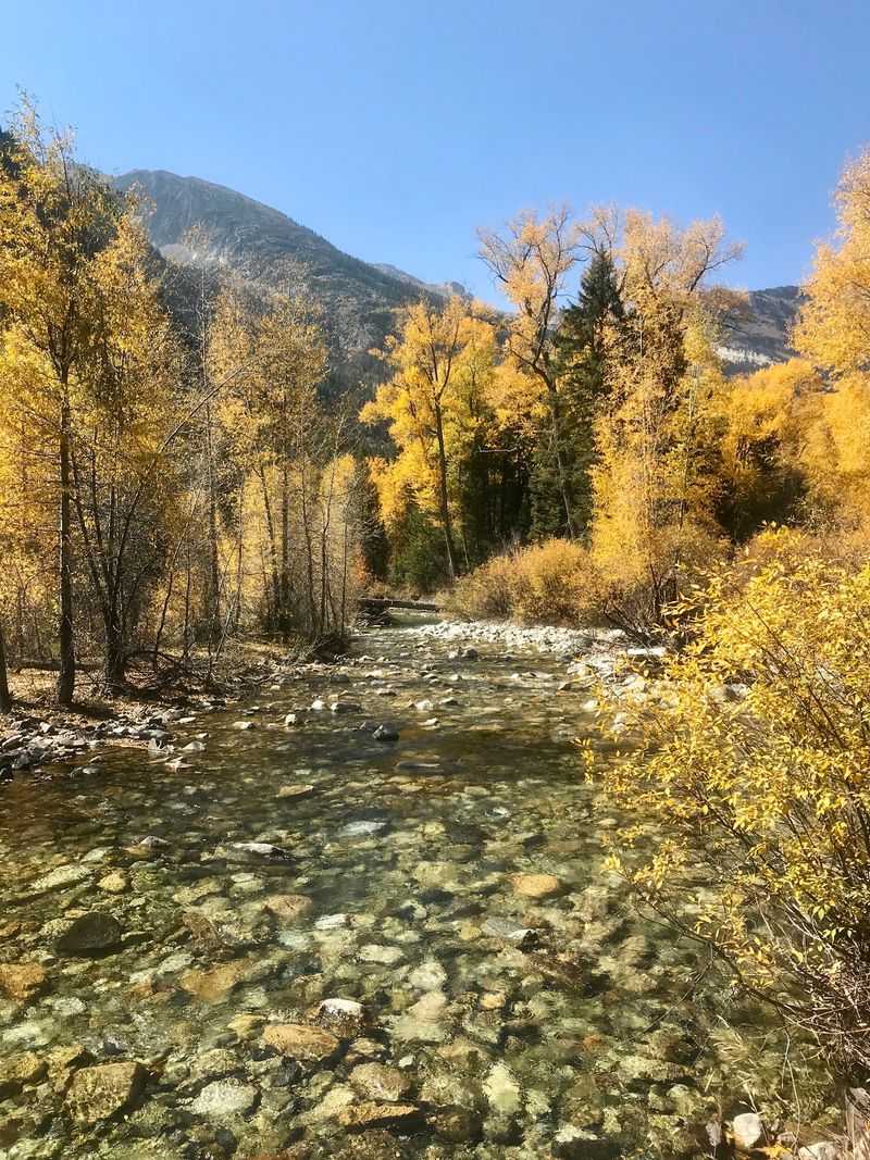 A River So Clear It Practically Shows Off