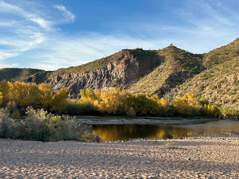 A Riverside Escape Along the Lower Salt