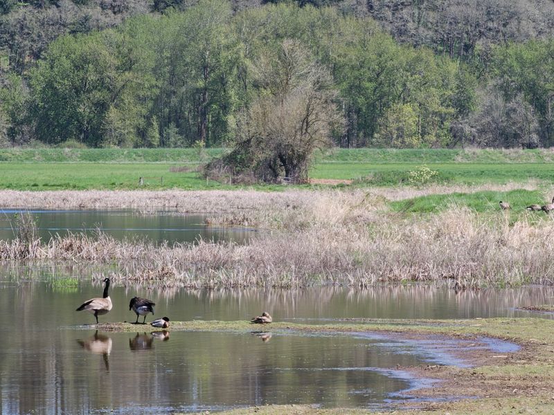 A Riverside Refuge Just Off I-5