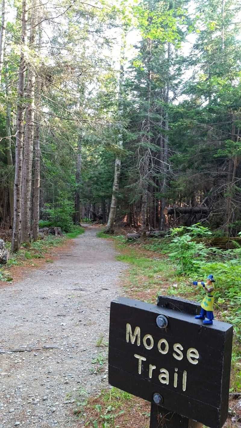 The Trail Loop Is About 1.2 Miles Long