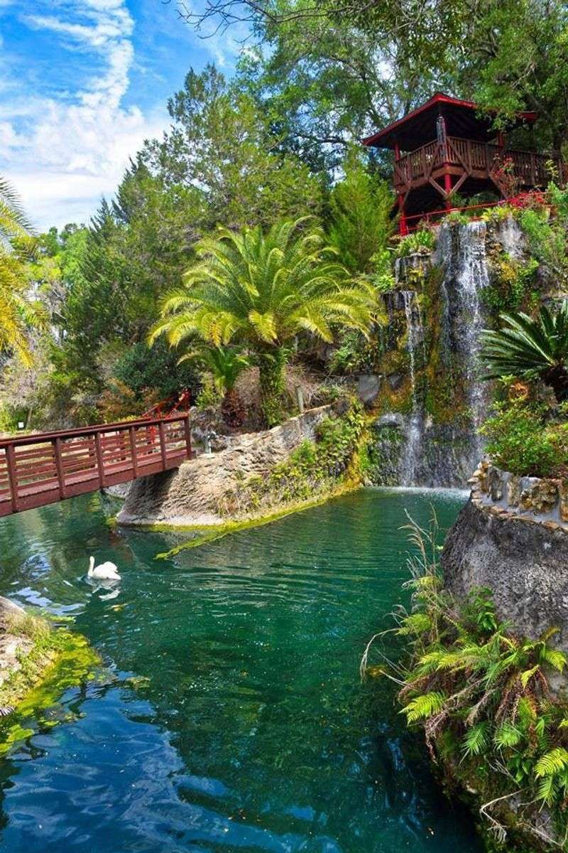 A Rocky Quarry Turned Green Paradise