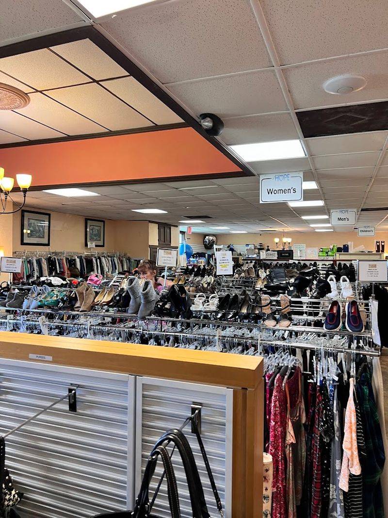 The Disney Connection That Draws Curious Shoppers