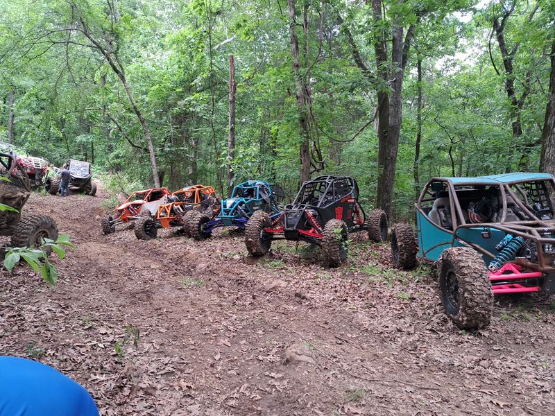 A Rougher Route Through The Woods