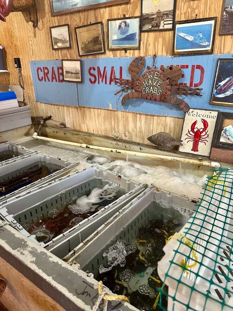 A Route 1 Seafood Tradition