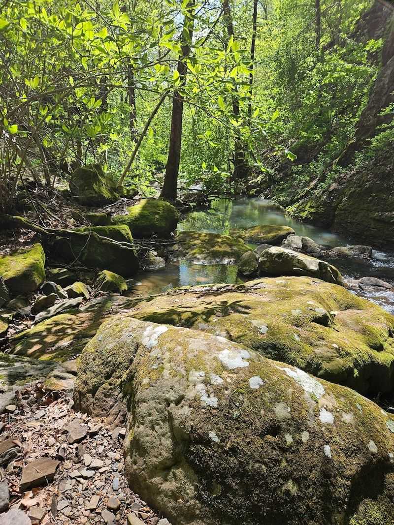A Rugged Escape Into The Ozark Backcountry
