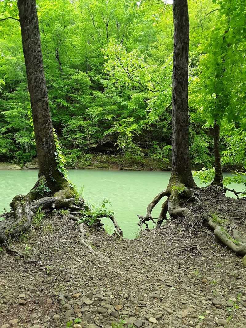 A Rustic Hideaway Wrapped In Green A Rustic Hideaway Wrapped In Green