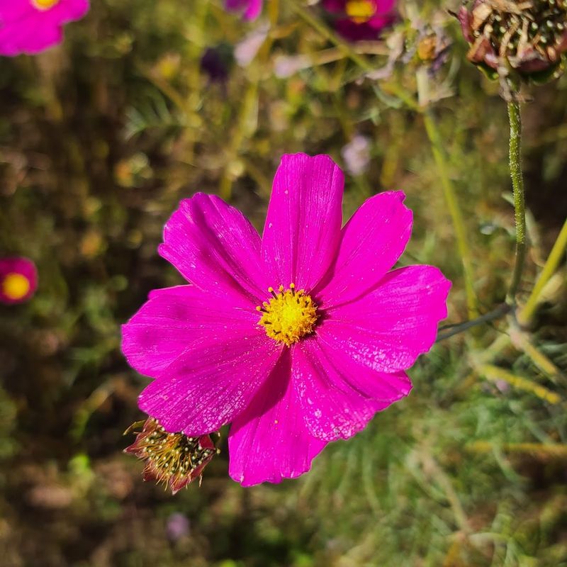 Arrive Early For The Best Light And Fewer Crowds