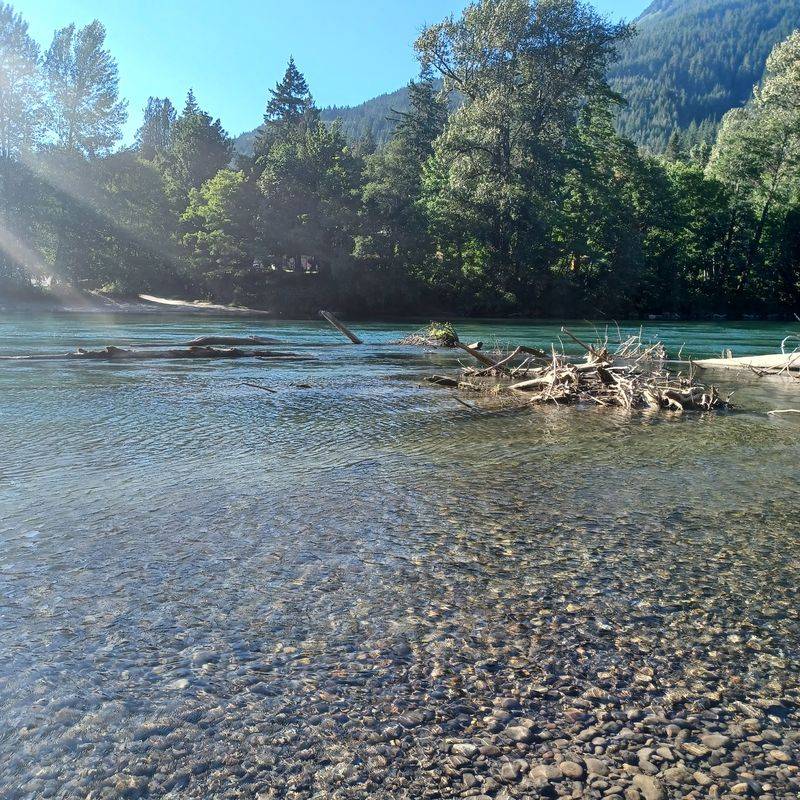 A Salmon Feast That Draws a Crowd