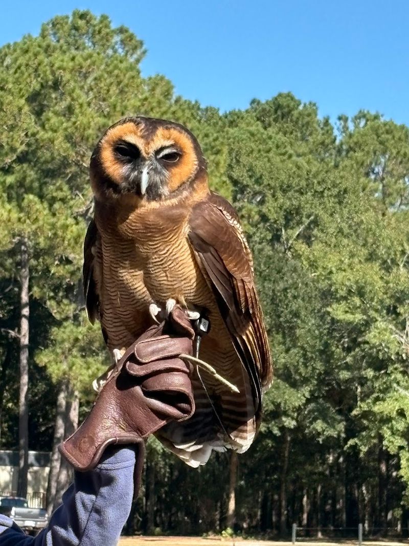 A Sanctuary Born From A Real Conservation Mission
