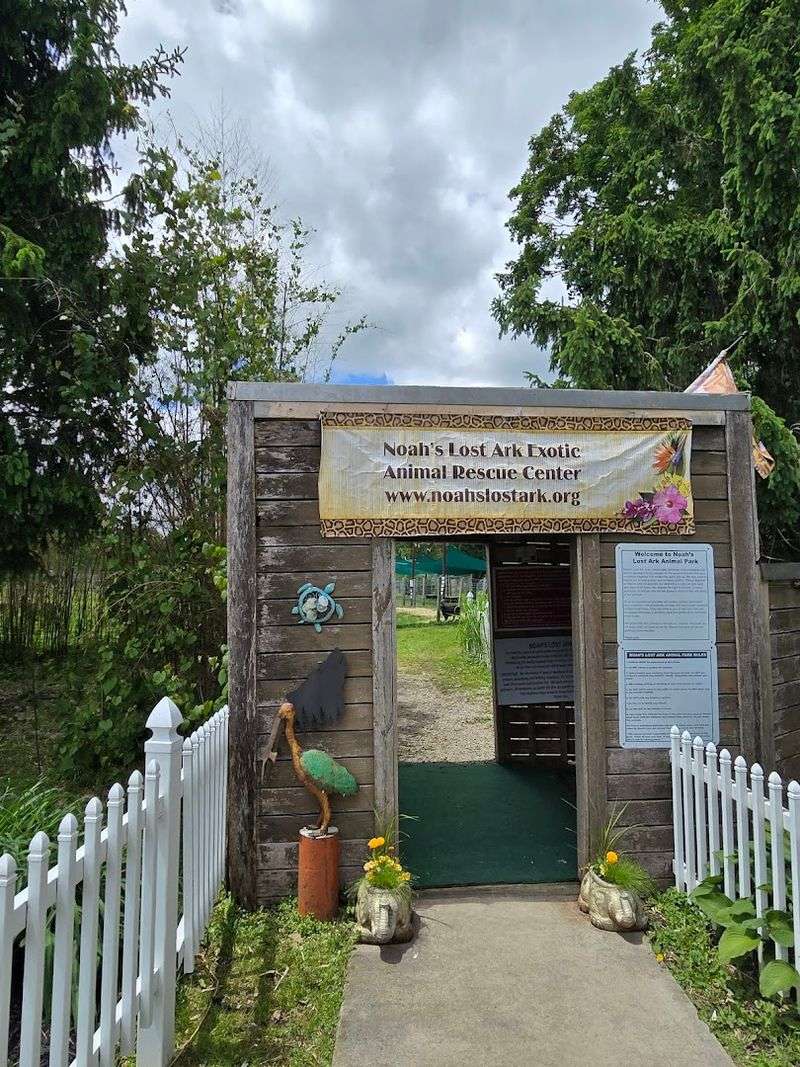 A Sanctuary Born From Compassion