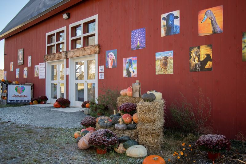 A Sanctuary Built On Compassion And Purpose A Sanctuary Built On Compassion And Purpose