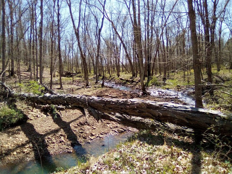 A Striking Landscape