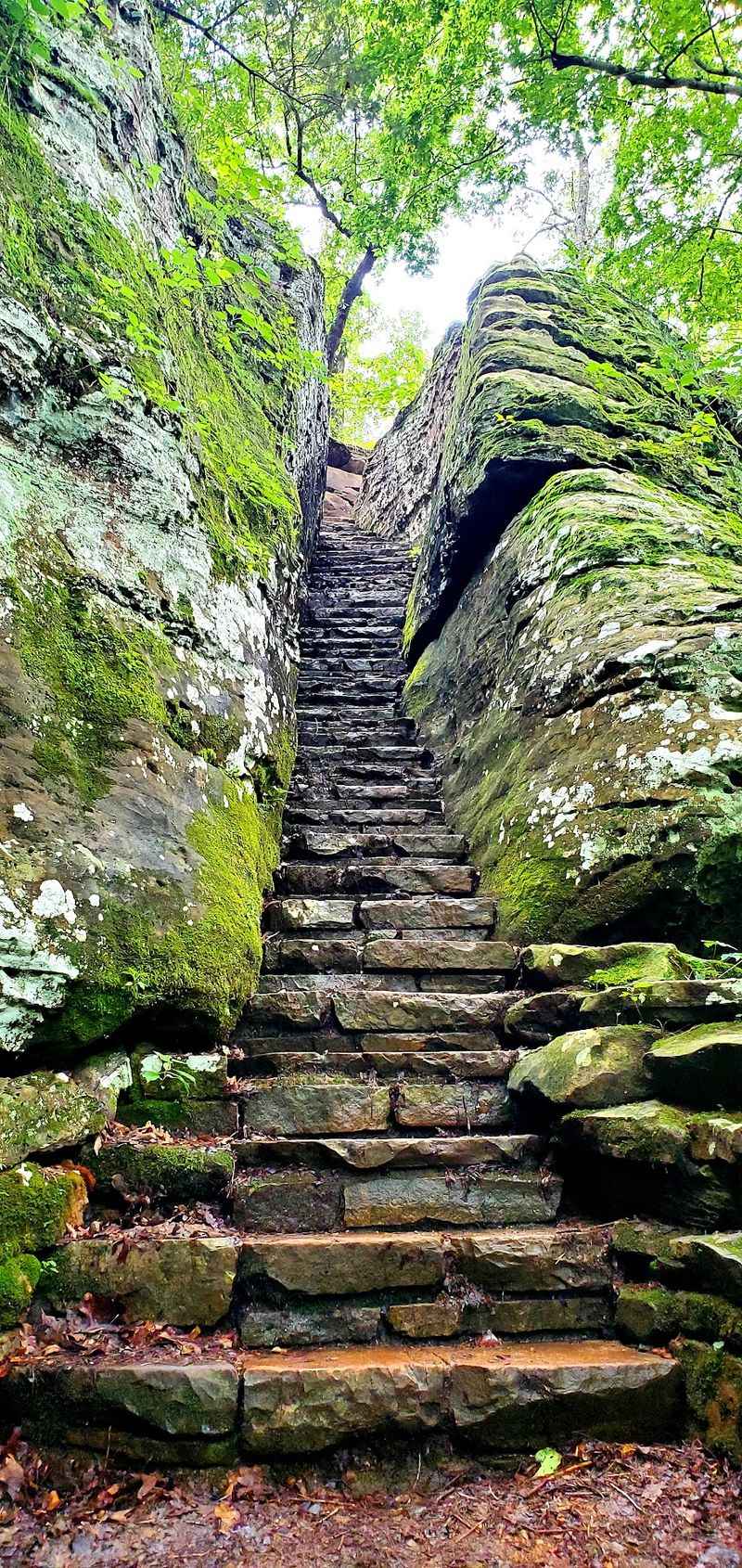 A Sandstone Canyon Deep In The Shawnee National Forest A Sandstone Canyon Deep In The Shawnee National Forest