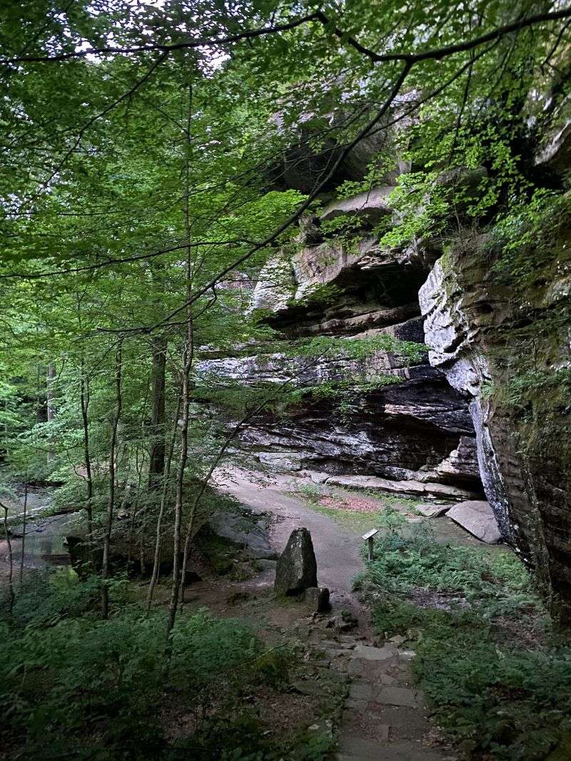 A Sandstone Rim In The Shawnee National Forest