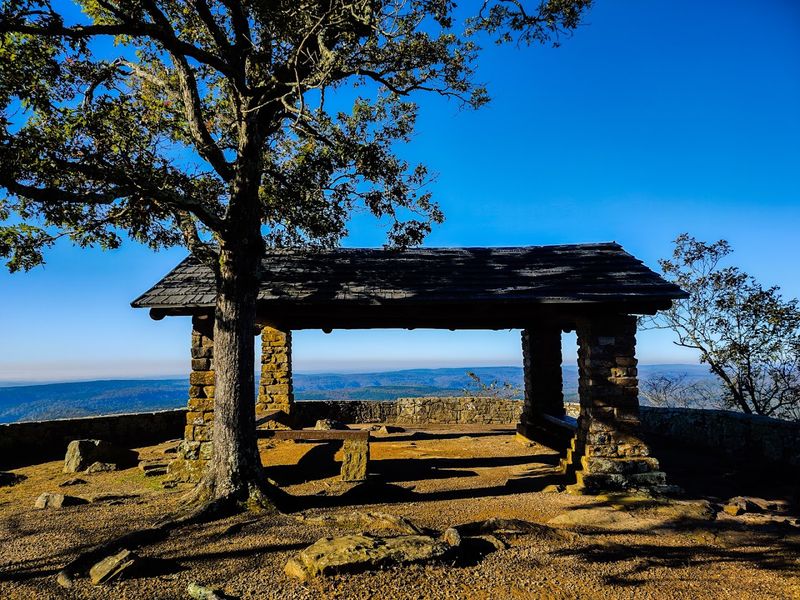 A Scenic Escape Above The Trees