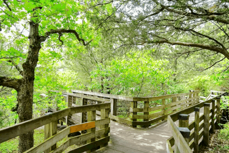 A Scenic Perch Inside Starved Rock State Park A Scenic Perch Inside Starved Rock State Park