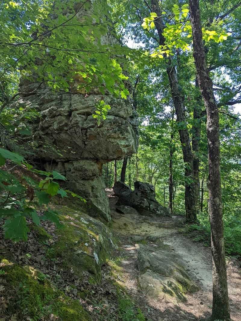 One Of The Easiest Big-View Stops In The Park