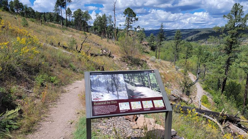 Where The Magic Begins