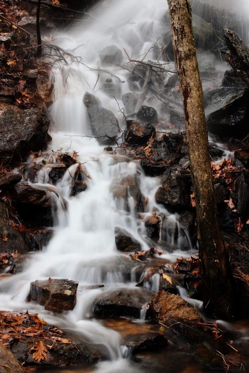 A Scenic Stream With A Wild Trout Feel