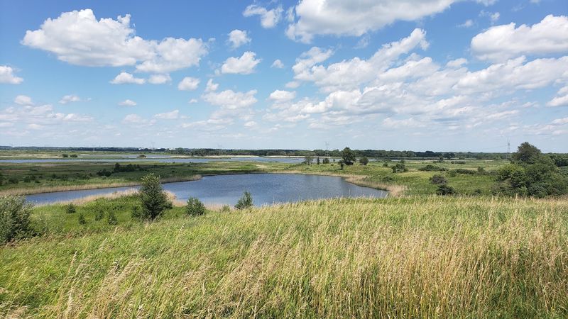 A Sea Of Grass In Grundy County