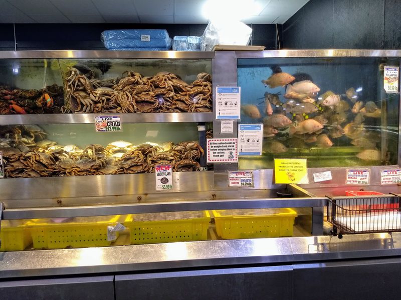 A Seafood Counter Worth The Detour A Seafood Counter Worth The Detour