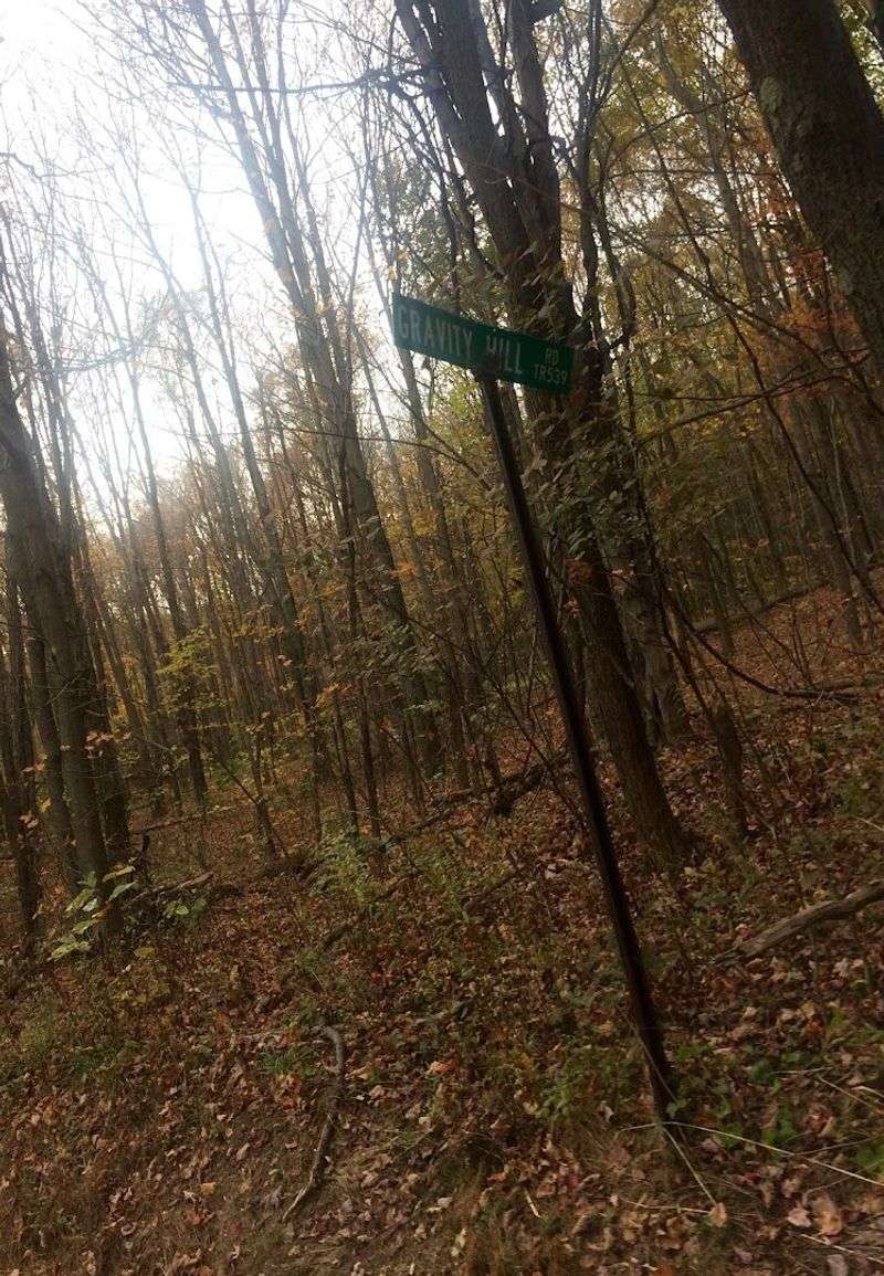 It Is Free And Open All Day, Every Day